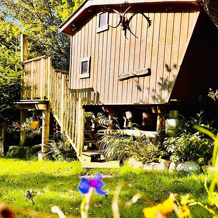 La Cabane Perchee Du Trappeur Écrainville Exteriör bild