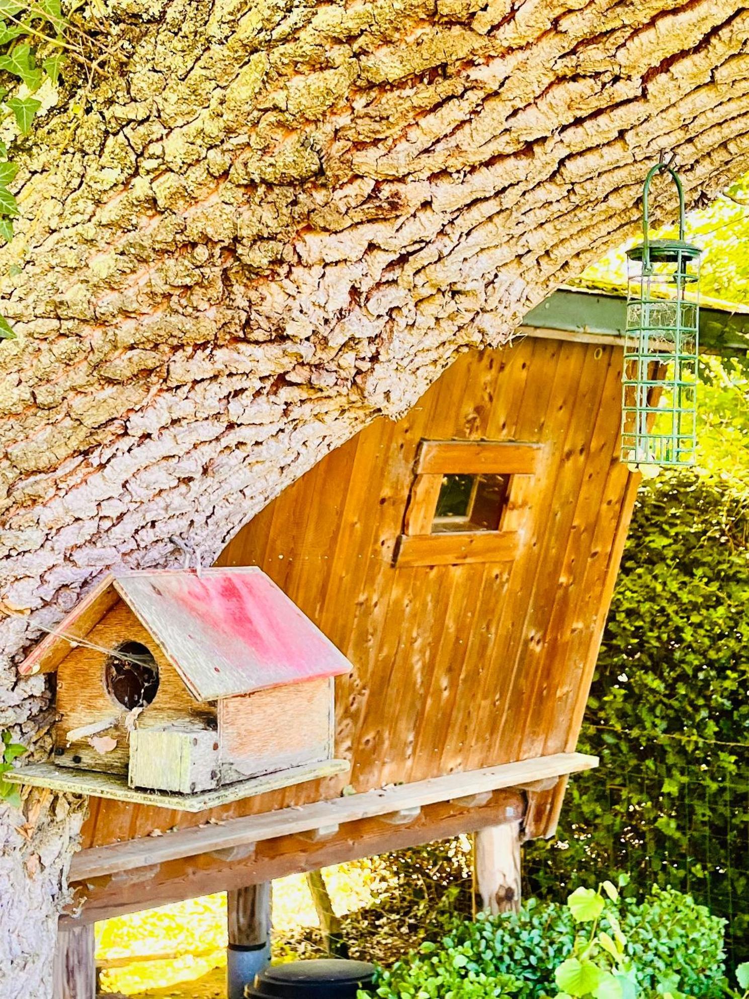 La Cabane Perchee Du Trappeur Écrainville Exteriör bild